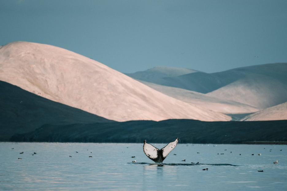 фото img_699dc2399d2ec.jpg