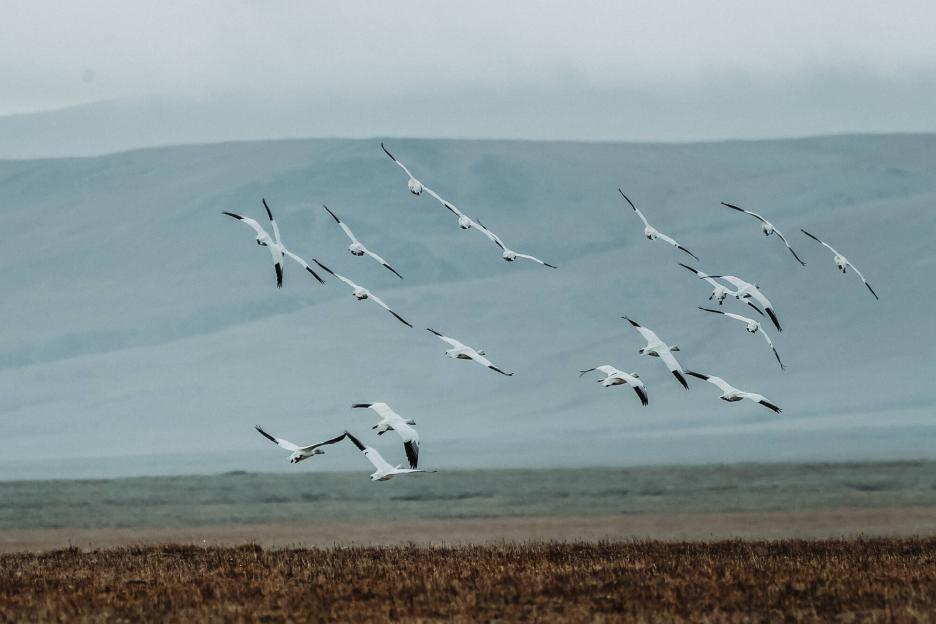 фото img_699dc23c4e181.jpg