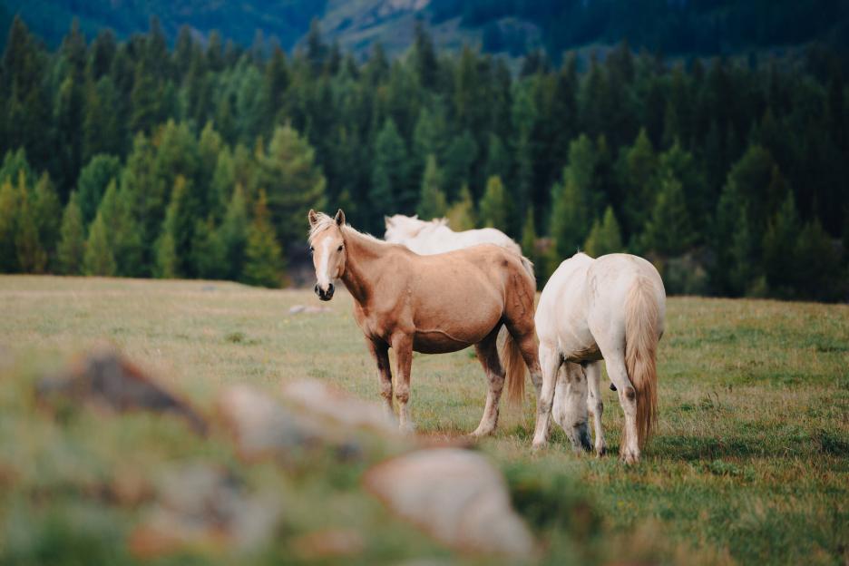 фото img_699ea49b5d3dd.jpg