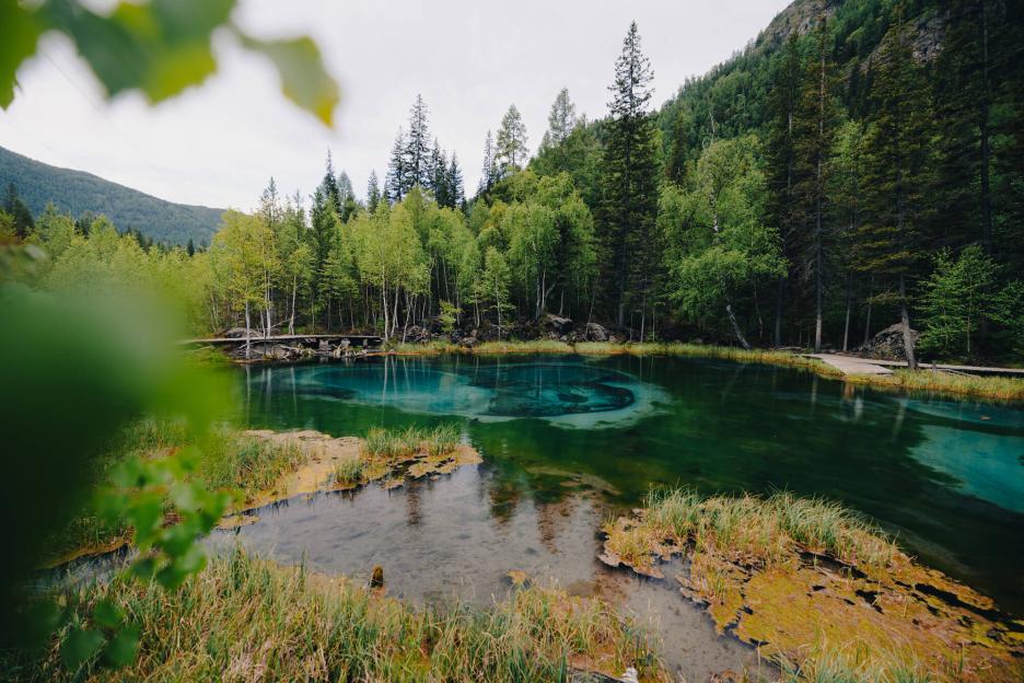 фото img_699ea49d0c5b8.jpg