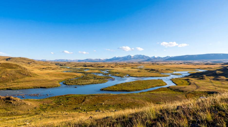 фото img_699ea4a1c04e6.jpg