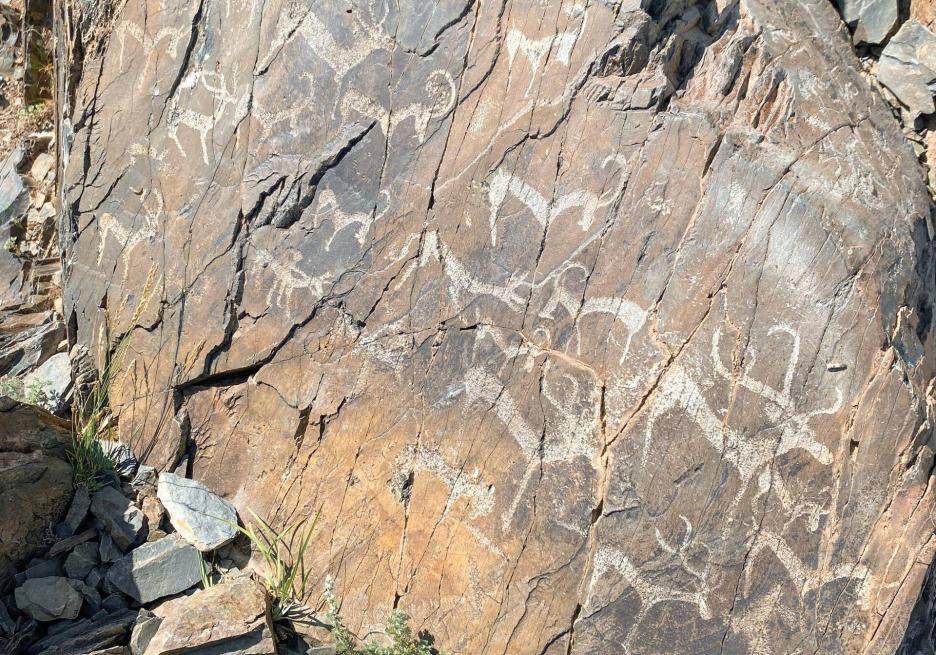 фото img_699ea4ac090d4.jpg