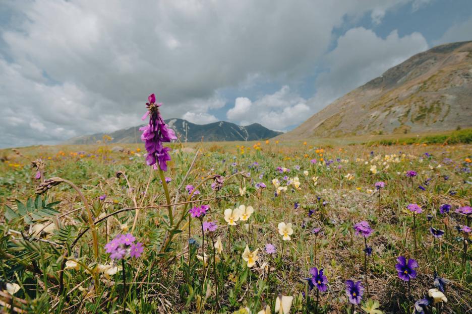 фото img_699ea4b0cadb3.jpg