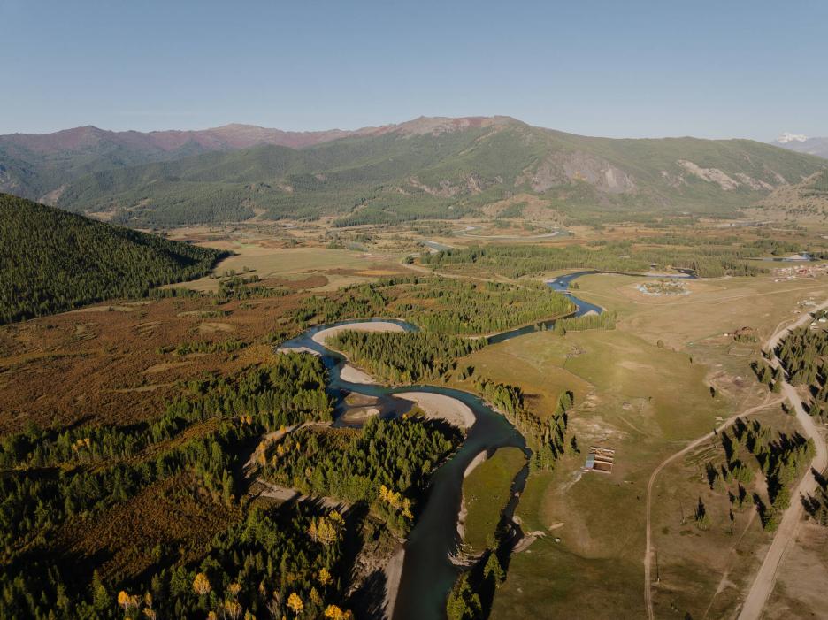 фото img_699ea4bb0b8f1.jpg