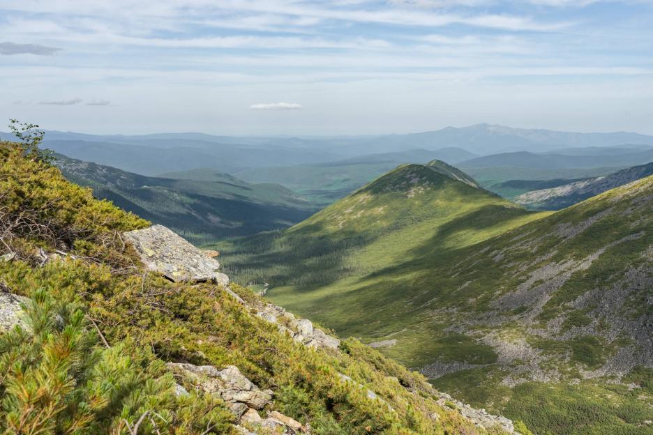 фото img_699ffe5c9b003.jpg