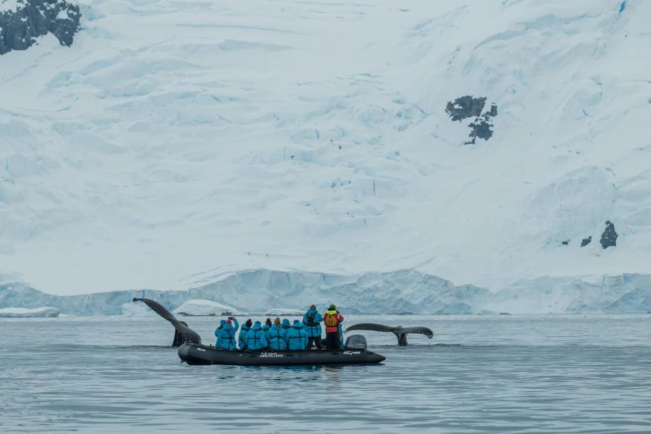 фото img_69a062218a169.jpg