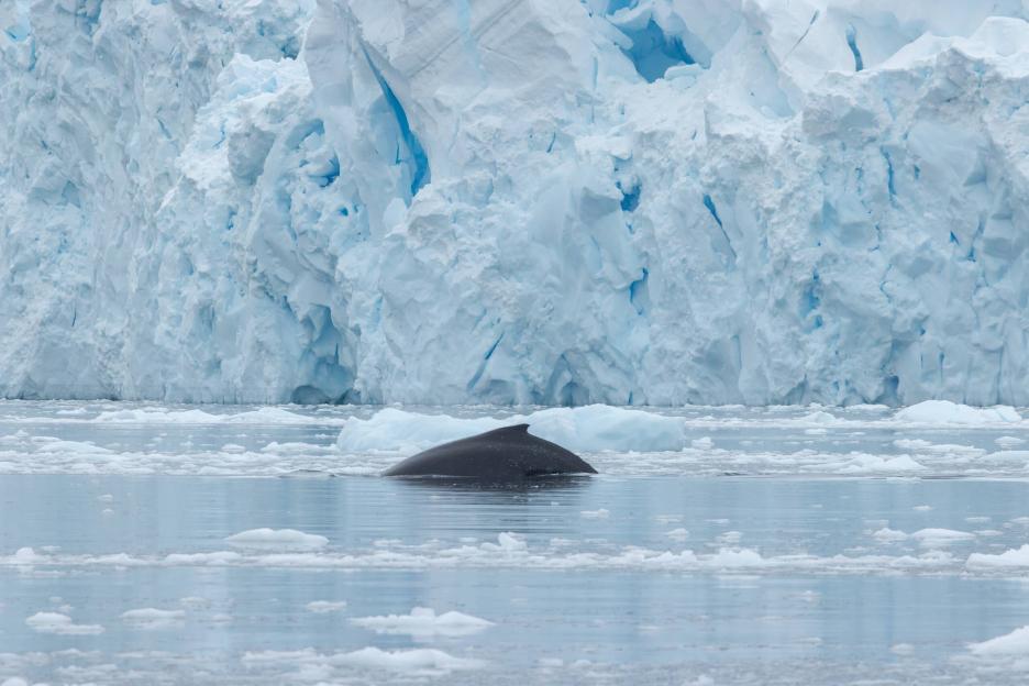 фото img_69a062235d5fe.jpg