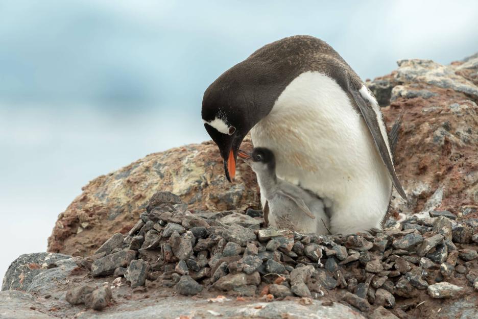 фото img_69a062312d39b.jpg