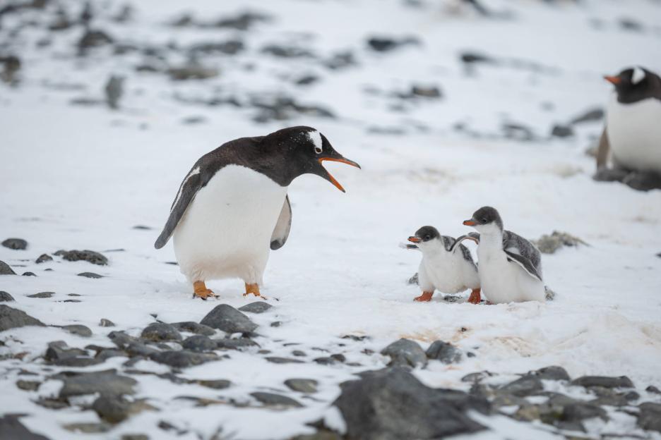 фото img_69a06232cfcab.jpg