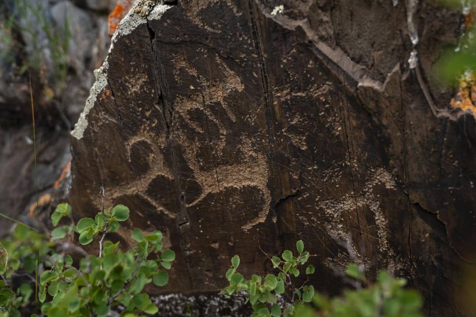 фото img_69a146ce13599.jpg