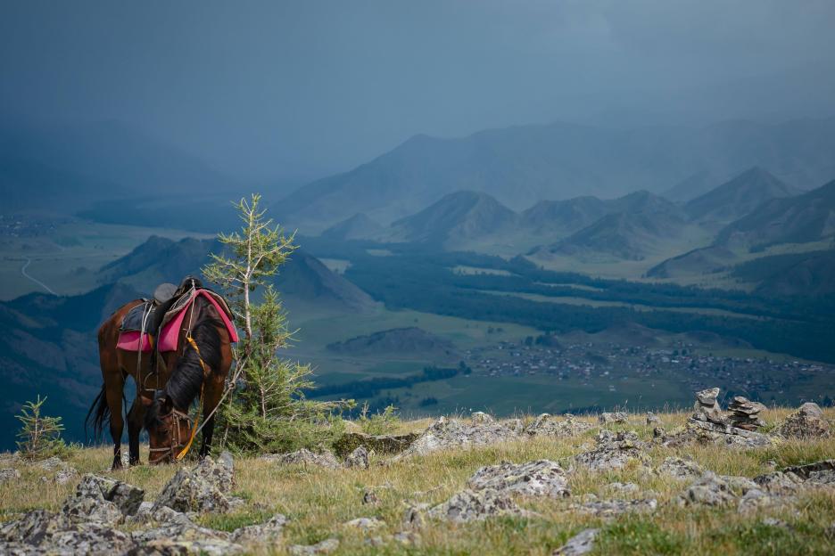 фото img_69a146dd7e17a.jpg