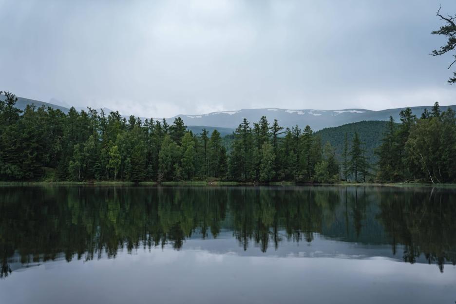 фото img_69a146edbff16.jpg