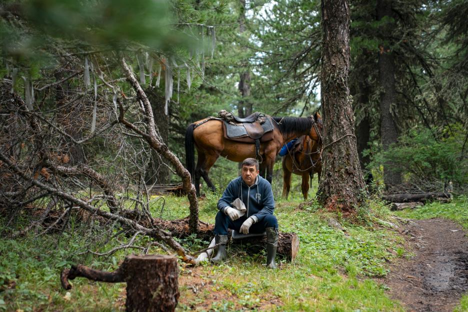 фото img_69a146fbeea85.jpg