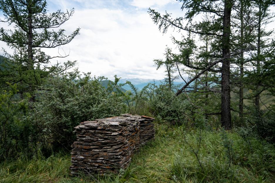 фото img_69a14703c65de.jpg