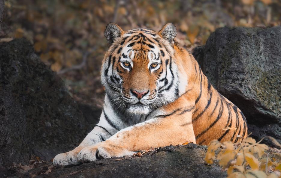 фото img_69a19086d02ef.jpg