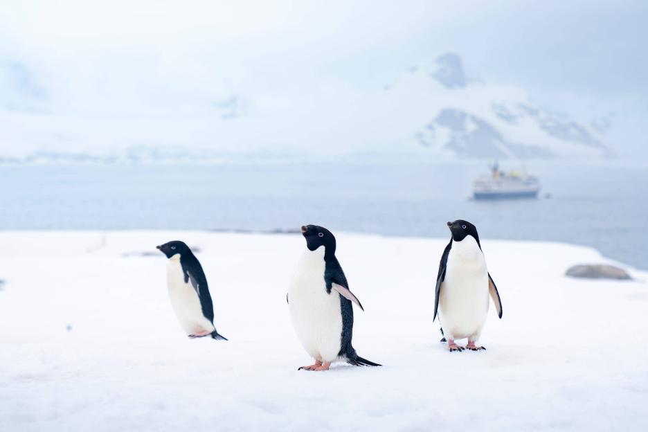 фото img_69a56675b67ce.jpg