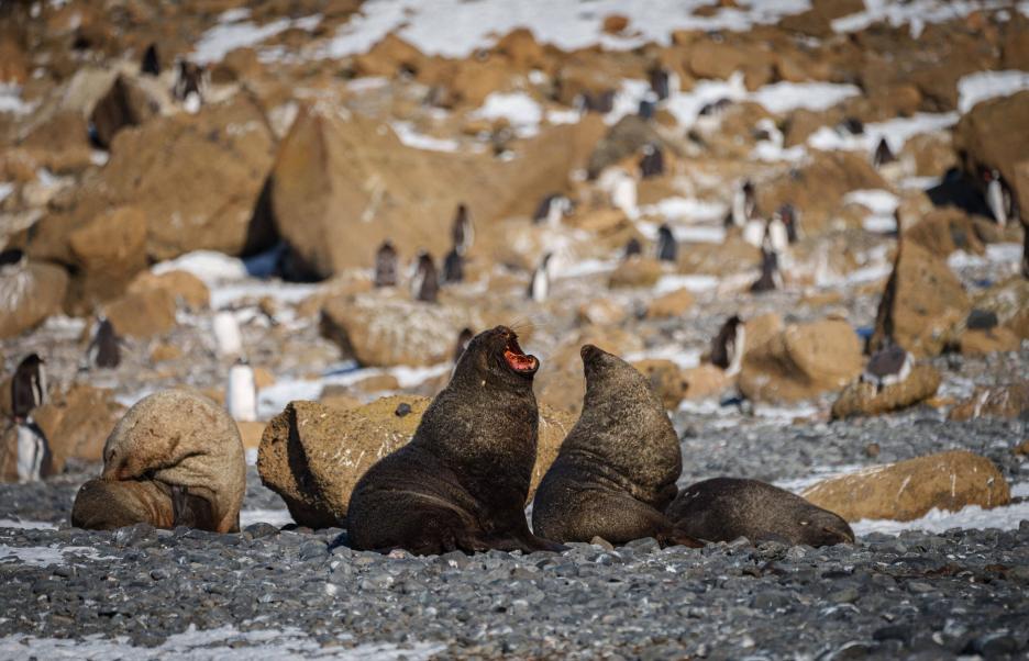 фото img_69a5681022710.jpg