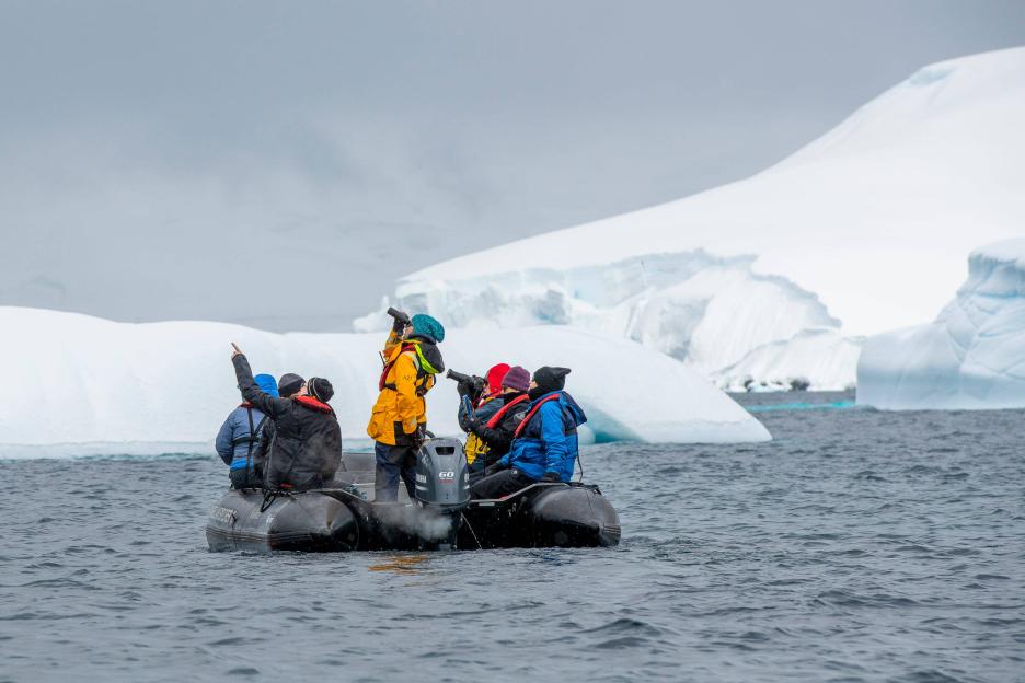 фото img_69a59c6794a5f.jpg