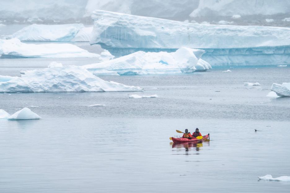 фото img_69a59c6cdec0b.jpg