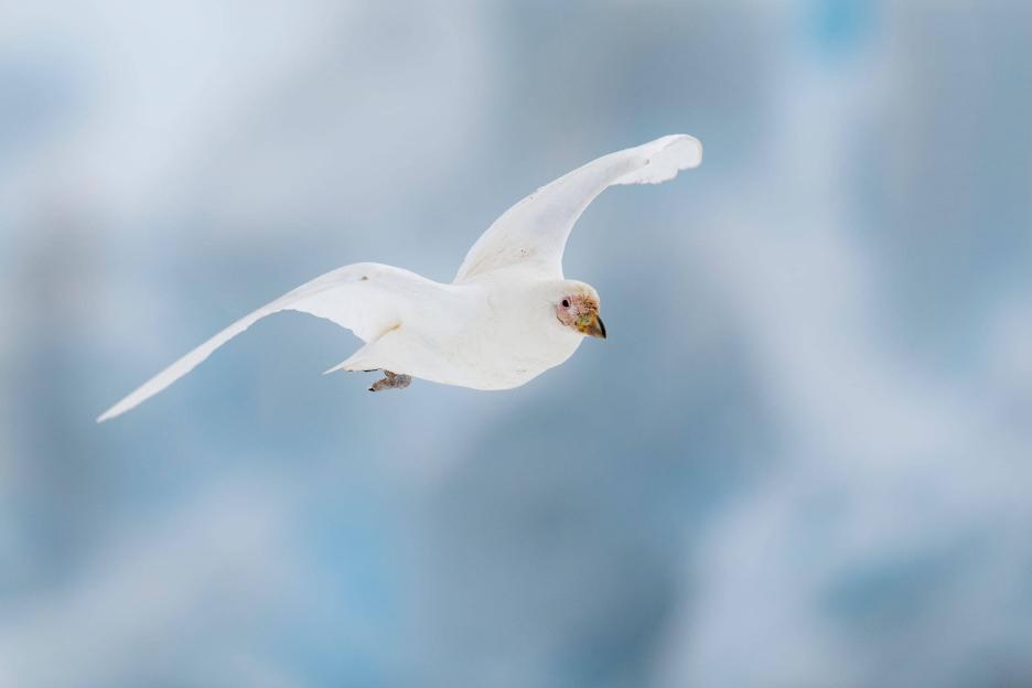 фото img_69a5a6e6576aa.jpg