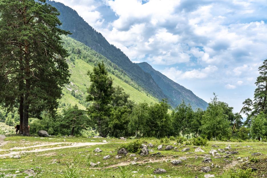 фото img_69a67d8e10854.jpg