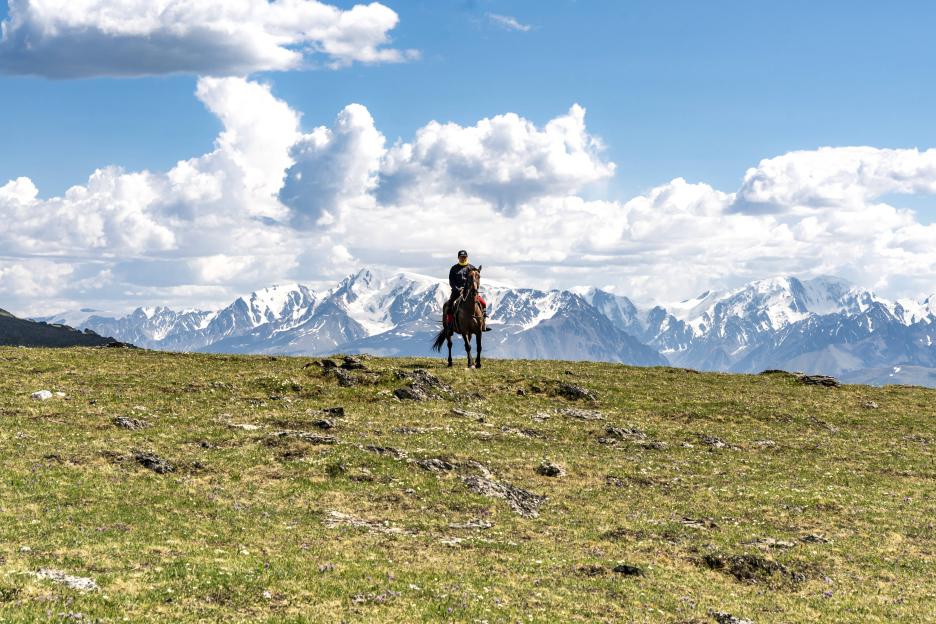 фото img_69a67dc19f63d.jpg