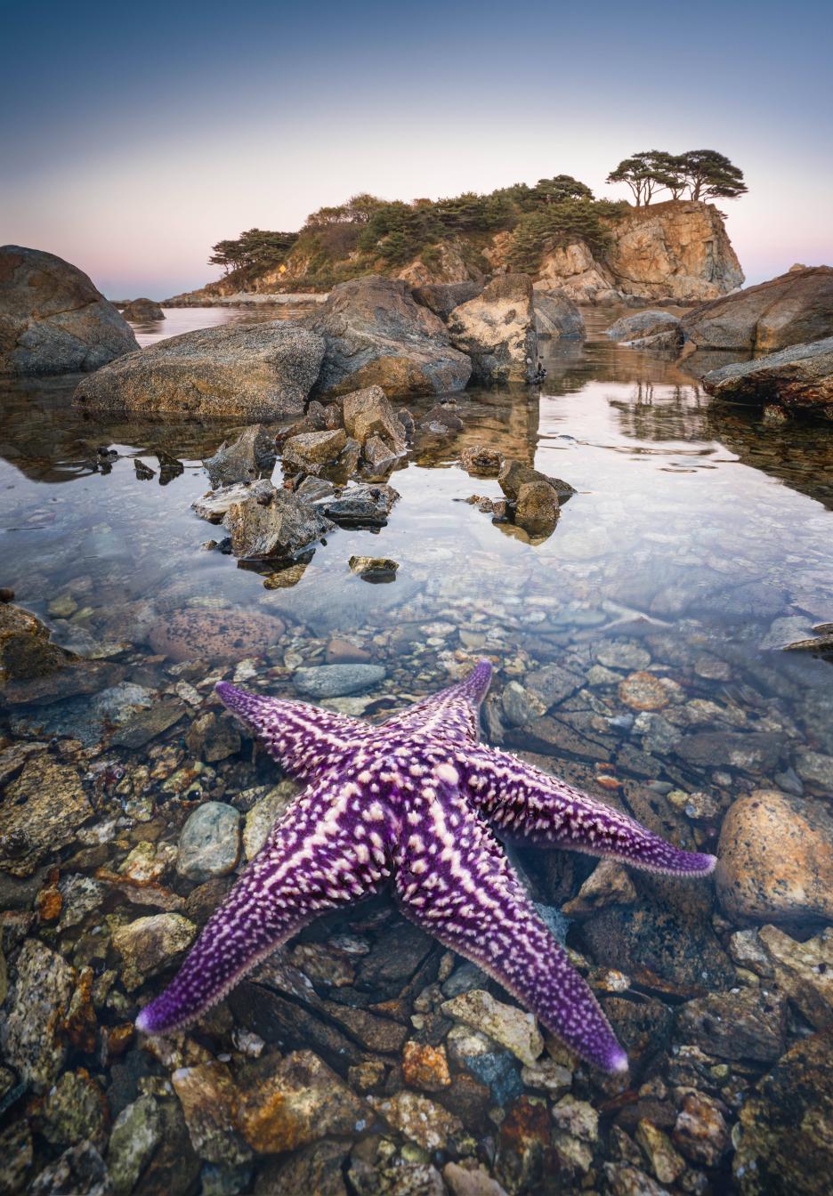 фото img_69a81a5d1b5fa.jpg