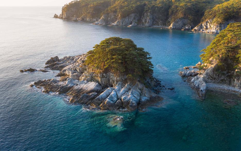 фото img_69a81a6528499.jpg