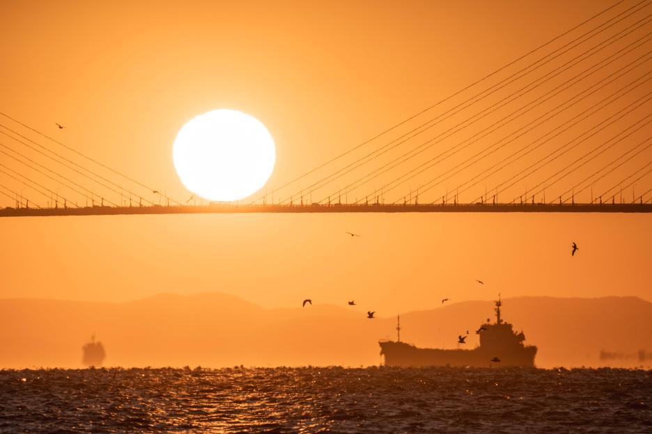 фото img_69a81a6a9b942.jpg