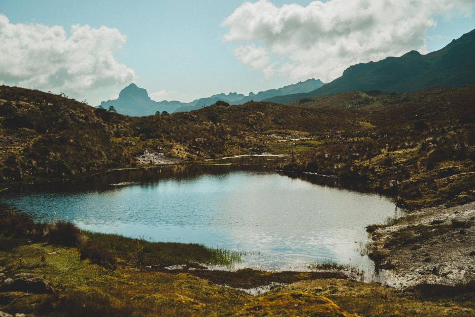 фото img_69a8364c4f3ec.jpg