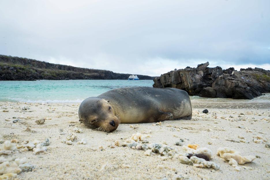 фото img_69a836518007f.jpg