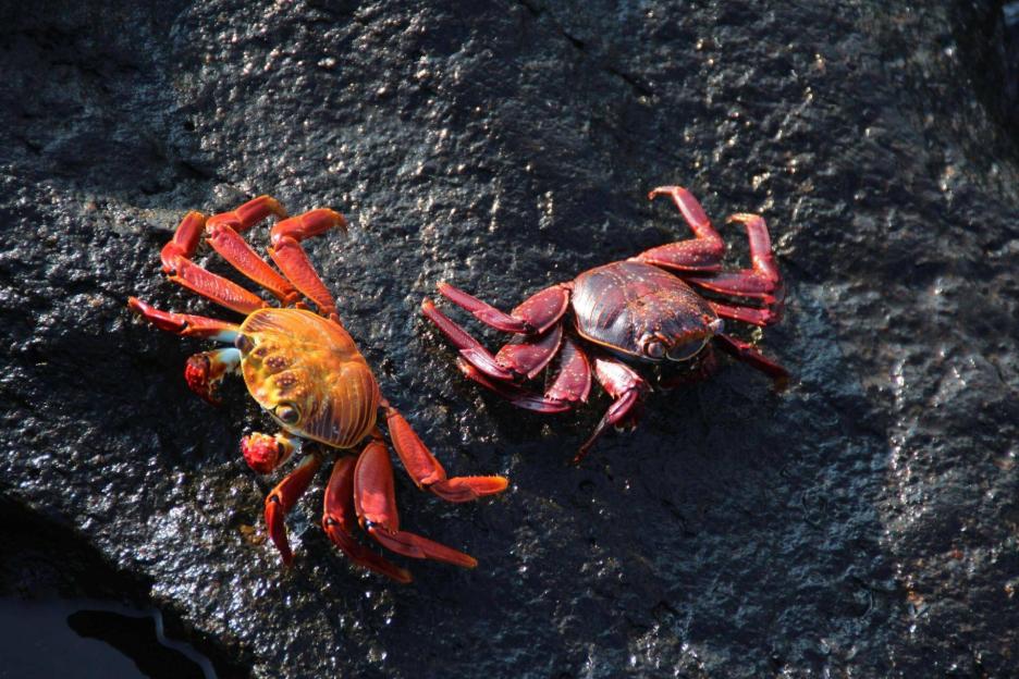 фото img_69a8365507a6c.jpg