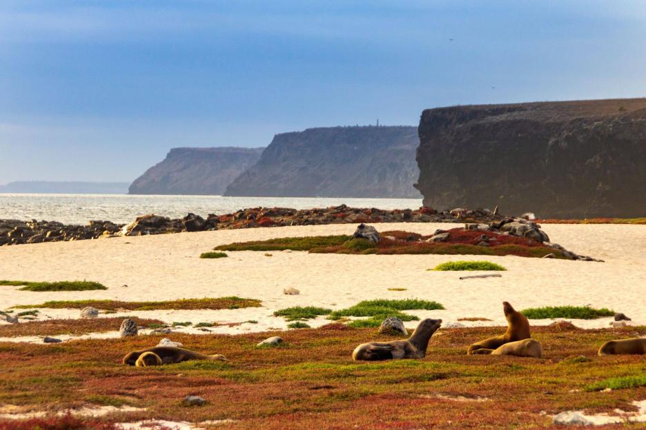 фото img_69a839655af97.jpg