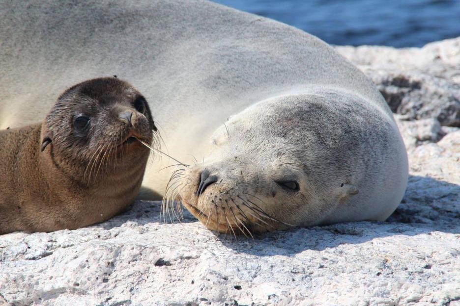 фото img_69a8396b99045.jpg