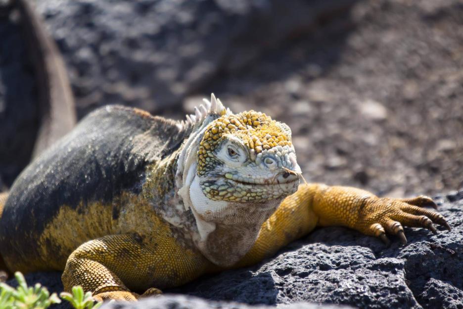 фото img_69a8396f250bd.jpg