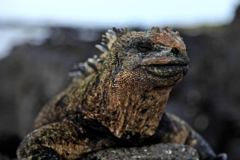 фото img_69a839707522f.jpg