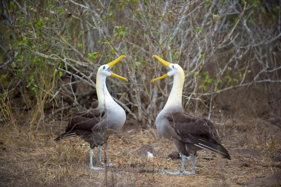 фото img_69a83b8c563ae.jpg