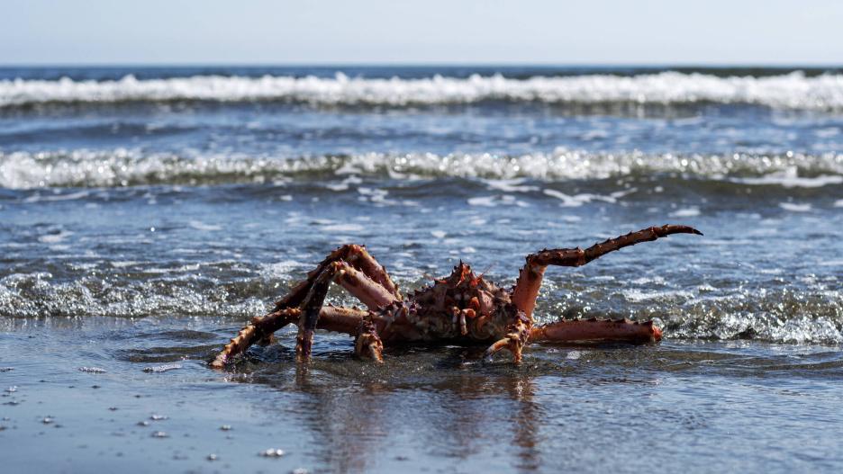 фото img_69a94de248a8b.jpg