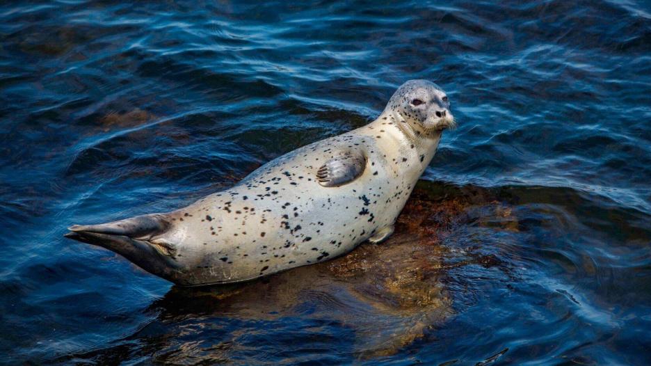 фото img_69a94deb6b682.jpg