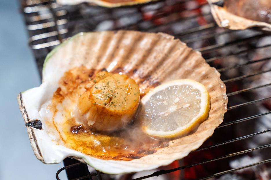 фото img_69a94ed5ee81f.jpg