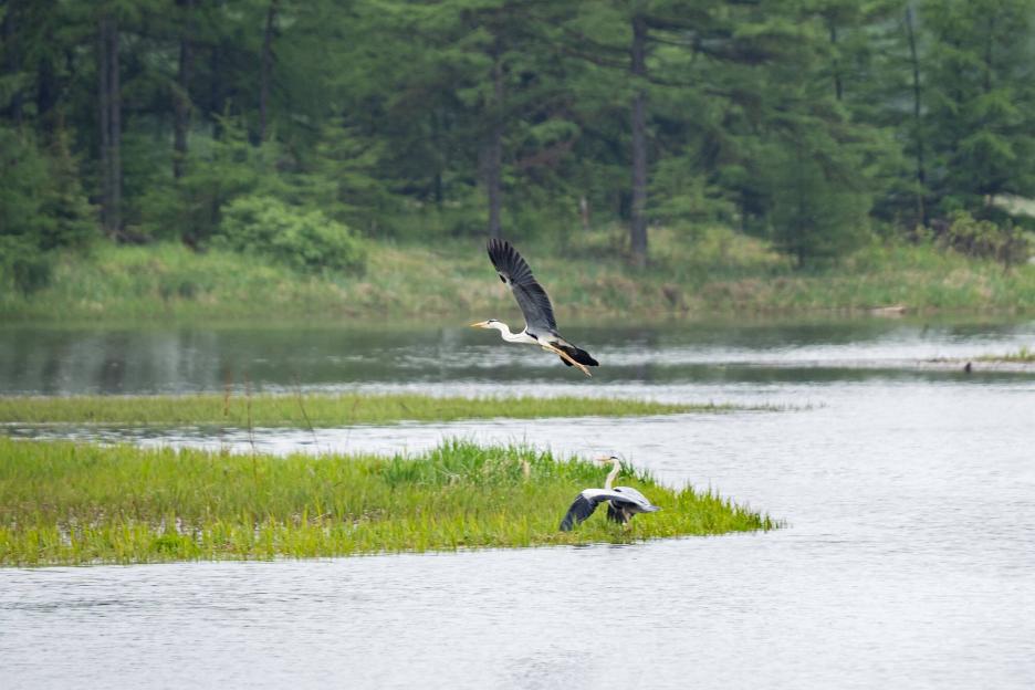 фото img_69a952f09f4e1.jpg