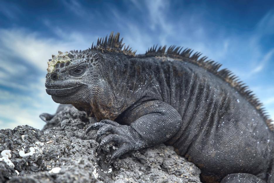 фото img_69a987f647b45.jpg