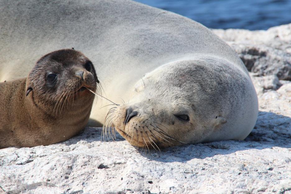 фото img_69a98a2ac5ca7.jpg