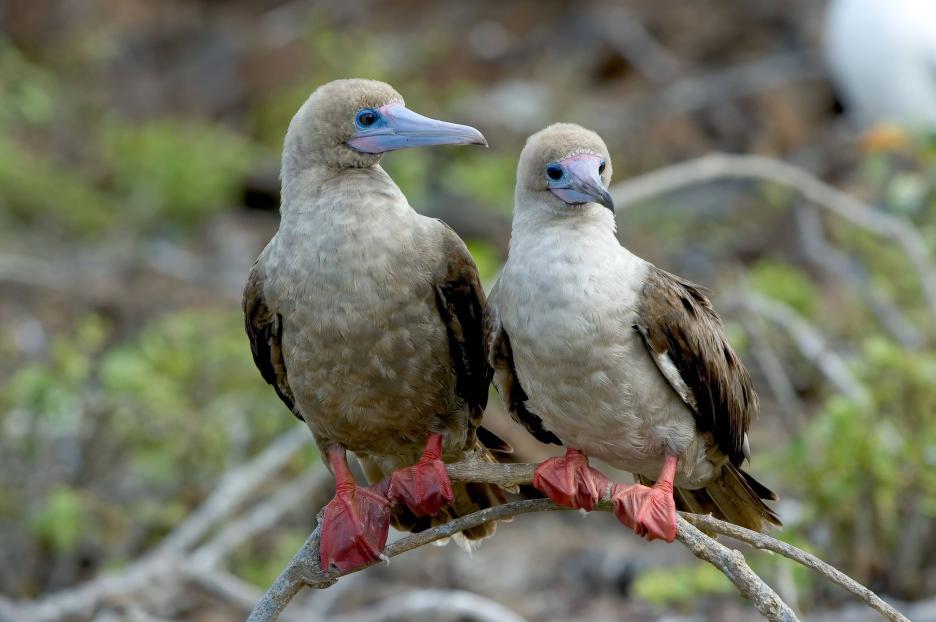 фото img_69a98a3375ee9.jpg