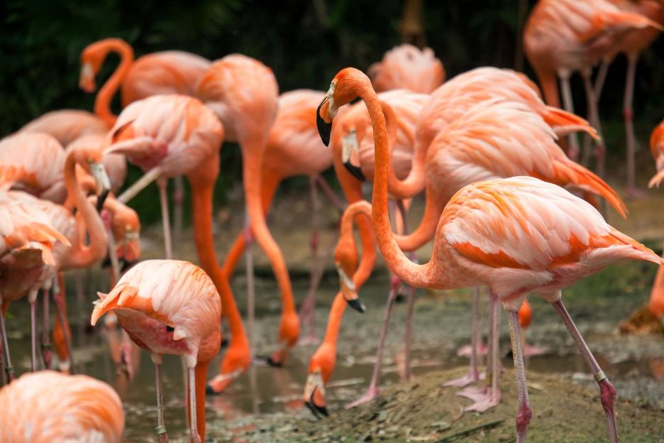 фото img_69a98a3510997.jpg