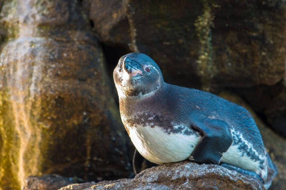 фото img_69a98ad61d6f0.jpg