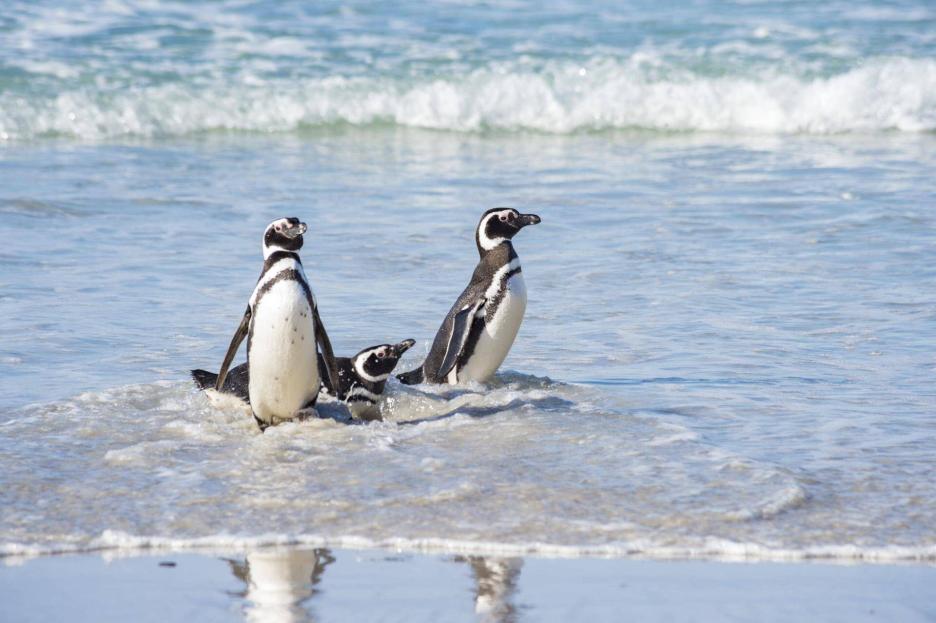 фото img_69aa9a13ae7f1.jpg