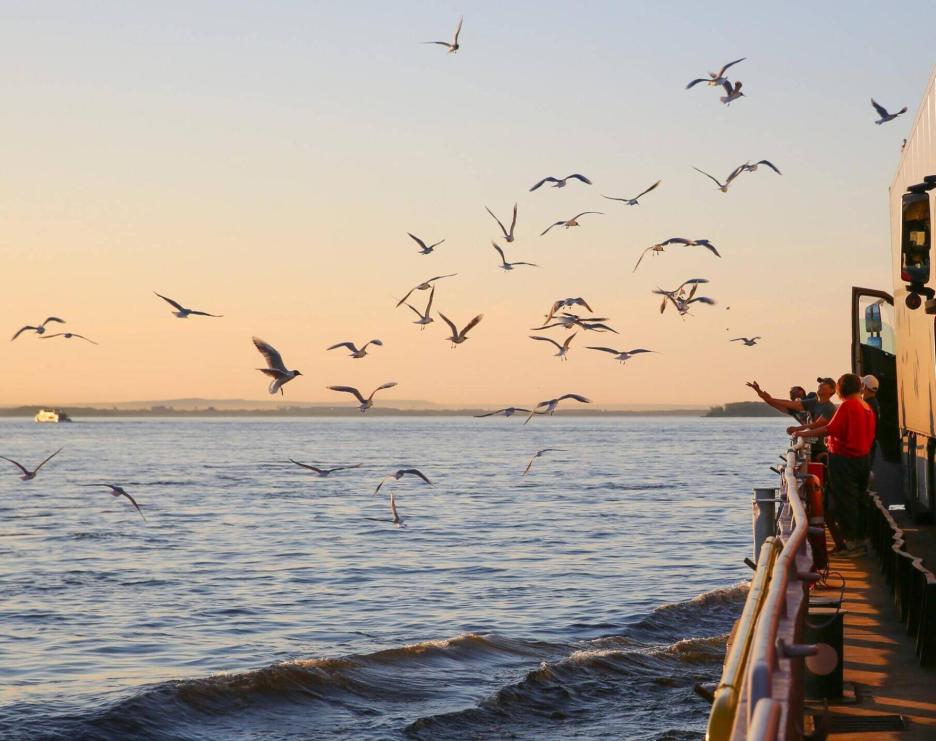 фото img_69aa9b03d7a47.jpg