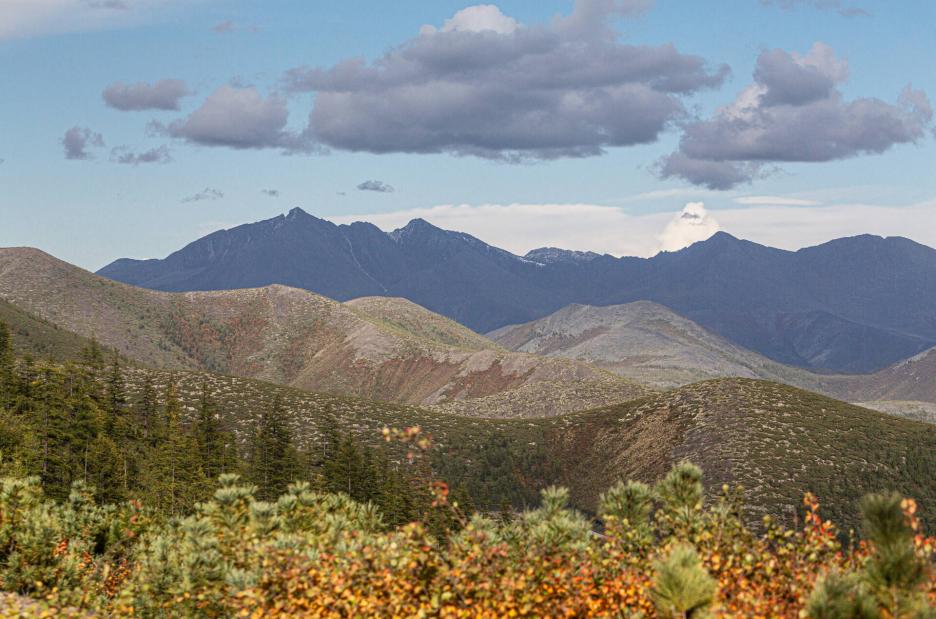 фото img_69aa9b119e11a.jpg