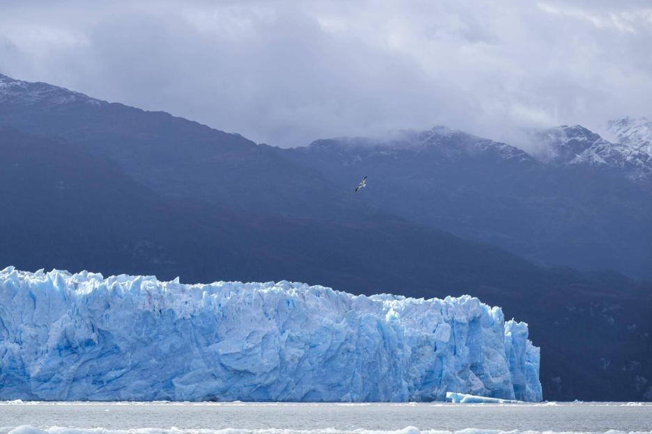 фото img_69aa9db18a535.jpg